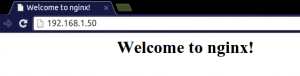 [Immagine: nginx-welcome-300x76.png]