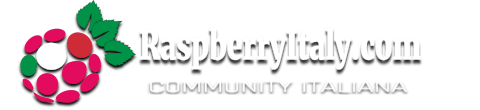 RaspberryItaly logo