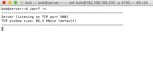 iperf server