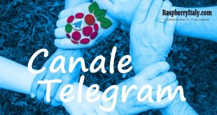 Canale Telegram